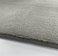 Amazing Grey1